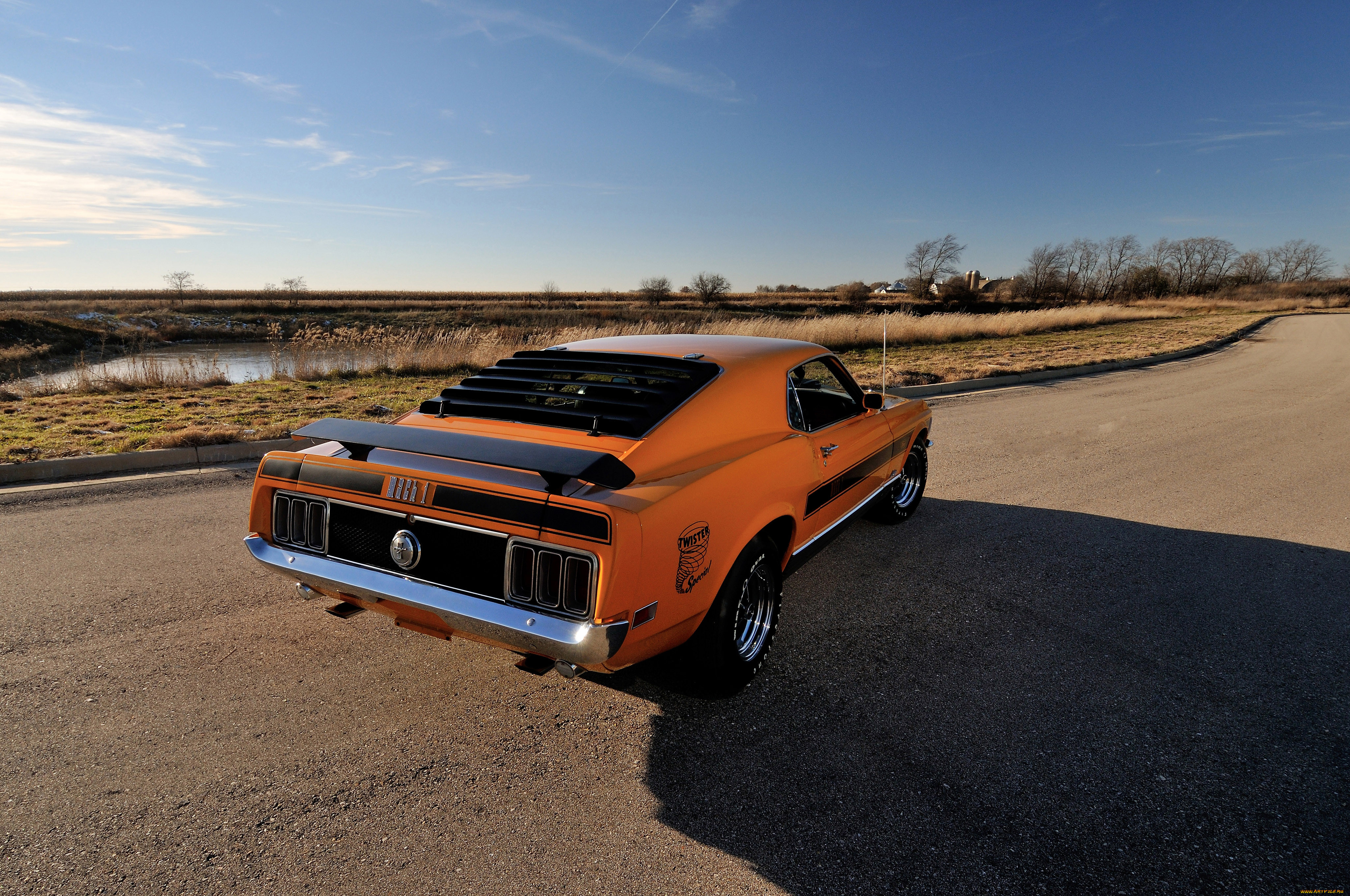 ford mustang mach 1 428 super cobra jet twister special, , mustang